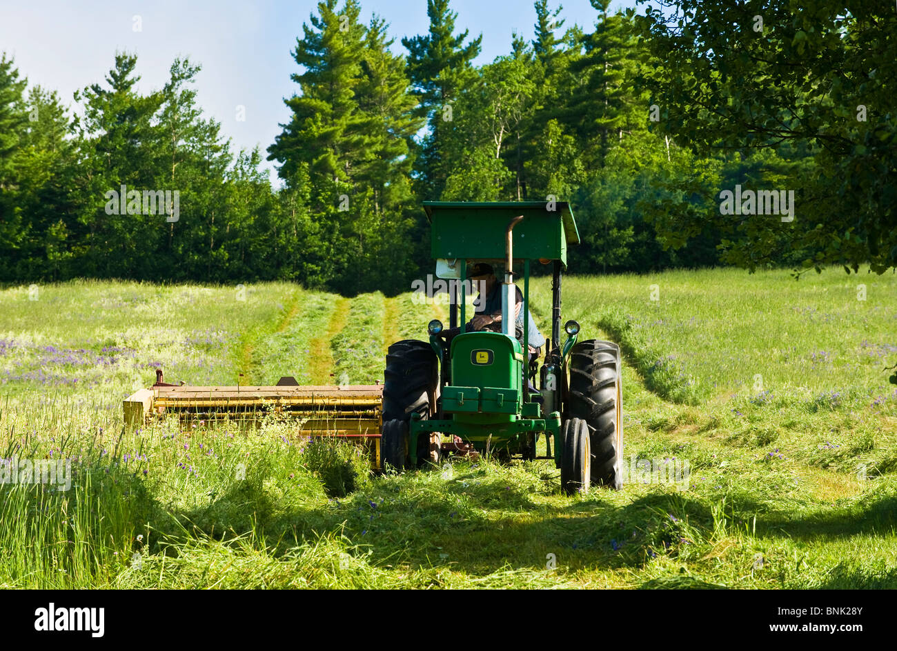 Un agriculteur dans les régions rurales du Nouveau-Brunswick la tonte sa récolte de foin Banque D'Images