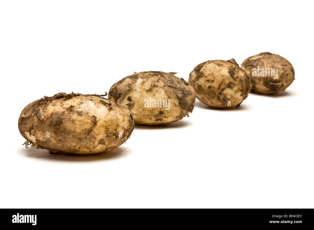 Lincoln de pommes de terre nouvelles à partir de la perspective peu isolés contre fond blanc. Banque D'Images