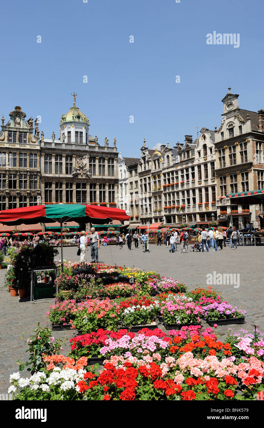 La Grand Place Grand Place Site du patrimoine mondial de l'Centaral ou carré plaza à Bruxelles Belgique Europe stands de fleurs Banque D'Images