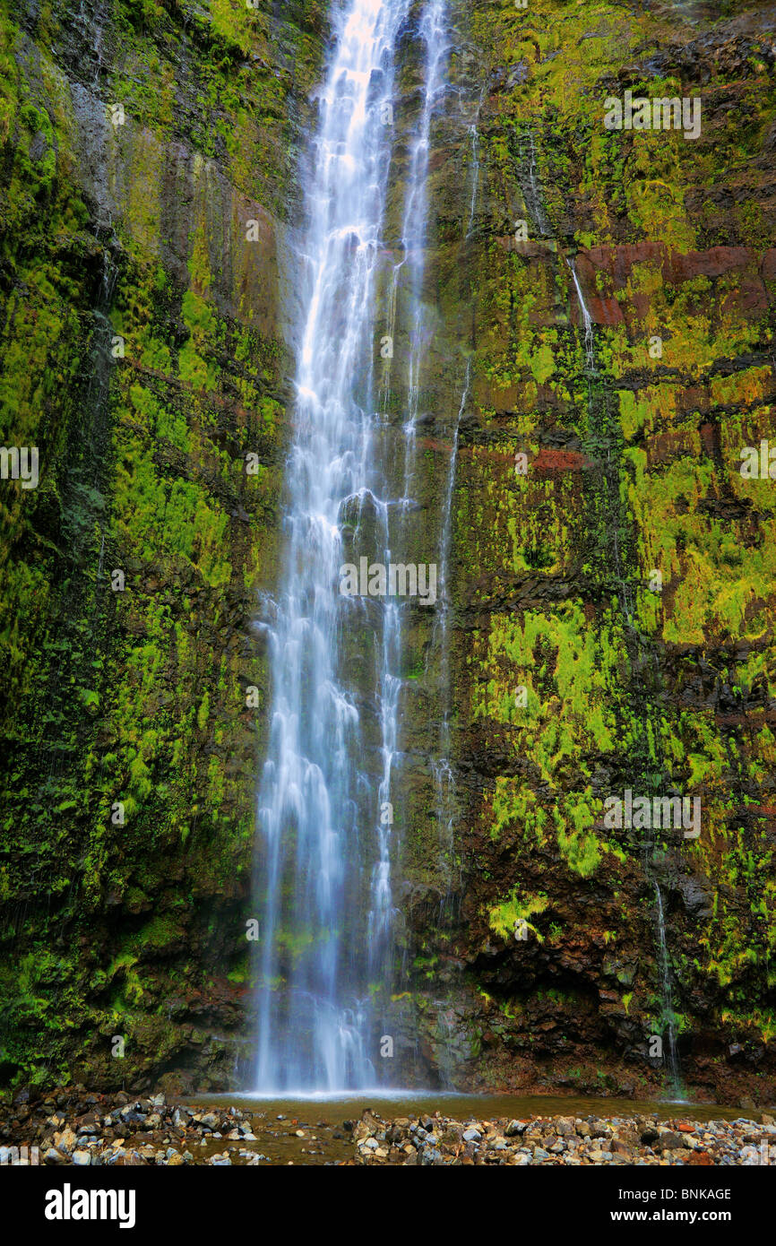 L'Pipiwai trail de Waimoku tombent dans le domaine de Kipahulu dans le Parc National de Haleakala Maui, Hawaii Banque D'Images