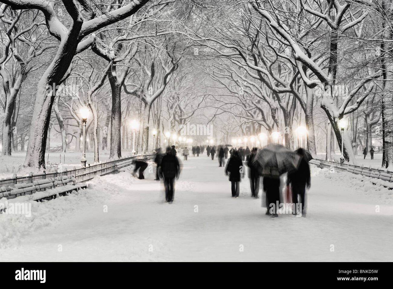 Central Park en hiver Banque D'Images