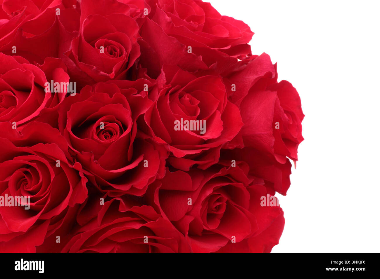 Un bouquet de roses rouges Banque D'Images