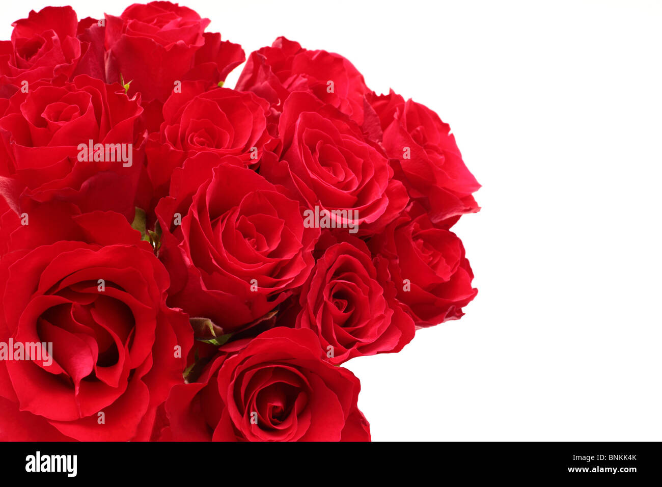 Bouquet de roses rouges avec copie espace Banque D'Images