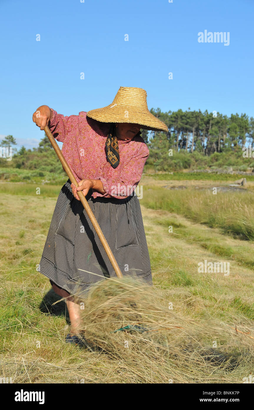 Femme femme récolte de foin à la fourche d'alimentation de la culture agriculture farm farm tradition traditionnellement les agriculteurs font la récolte de foin champ d'été Banque D'Images