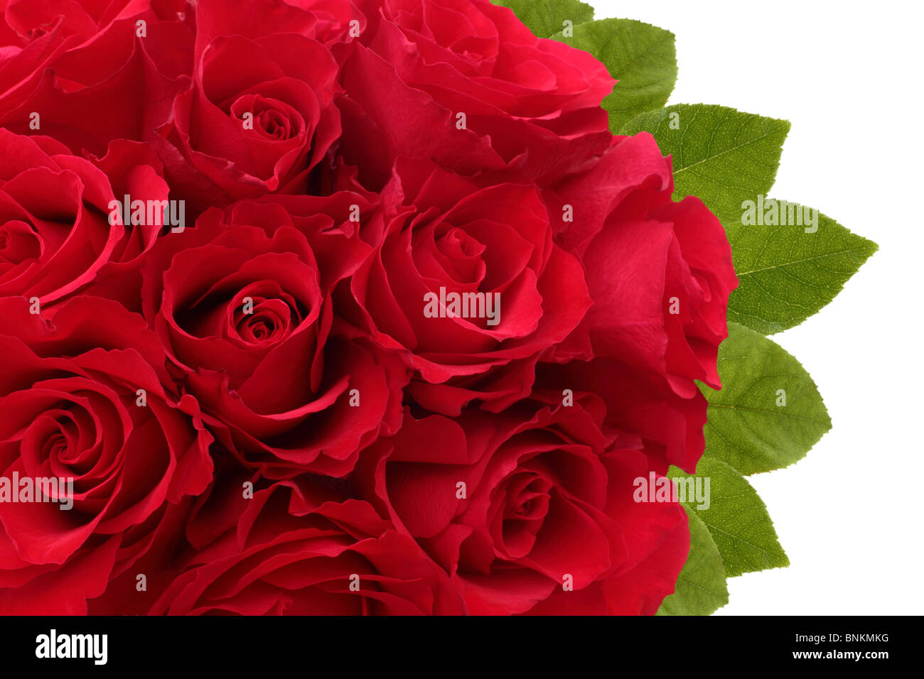 Un bouquet de roses rouges avec des feuilles vertes Banque D'Images