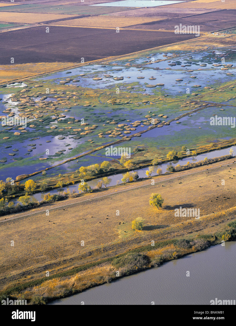 Vue aérienne au-dessus du delta de la rivière San Joaquin de Sacramento, Californie du nord Banque D'Images