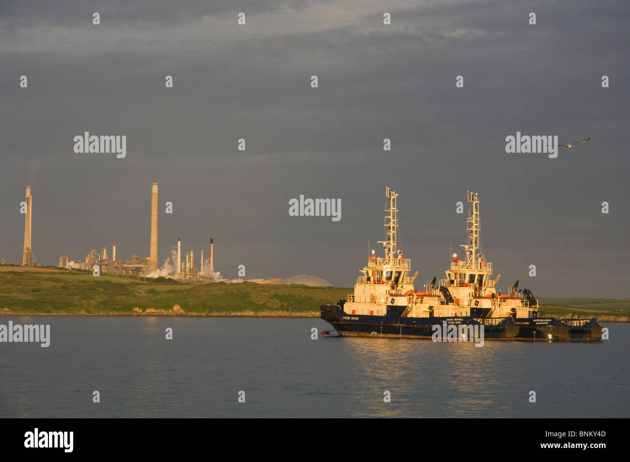 Les remorqueurs et Texaco Oil Refinery, Milford Haven, Pembrokeshire, Pays de Galles, Royaume-Uni, Europe Banque D'Images