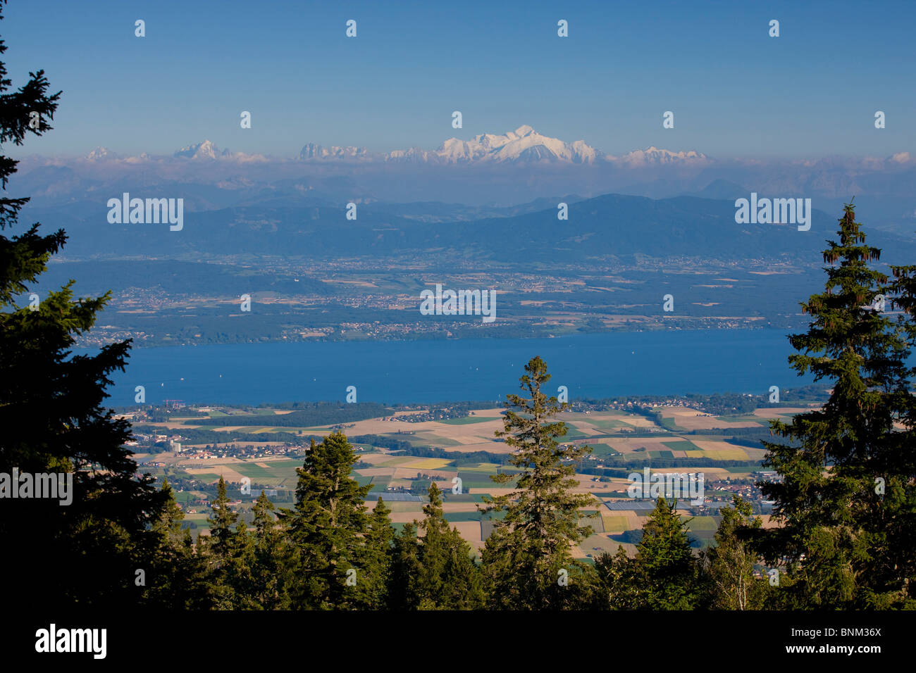Voir La Dôle Suisse Canton Vaud Vaud Jura Terres Voir Lac De - 