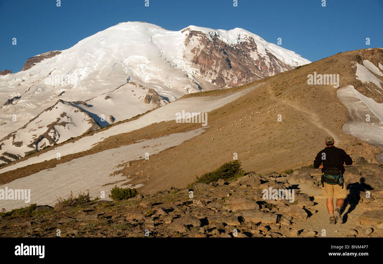 Un randonneur Randonnées le lever du soleil de l'État de Washington's Mount Rainier sur une journée claire Banque D'Images