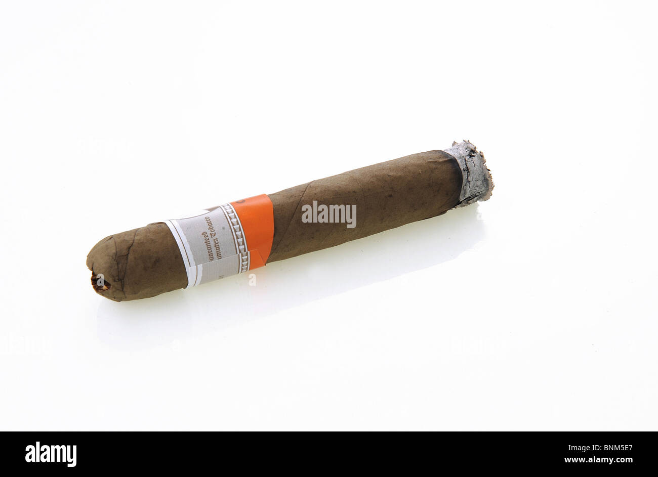 Fumée de cigare de luxe du tabac Banque D'Images