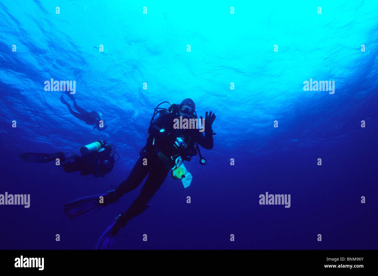 Les plongeurs sous l'eau dans les îles Galapagos. La photographie sous-marine. L'équipement de plongée. L'eau bleu. Allans chef de groupe pour la surface Banque D'Images