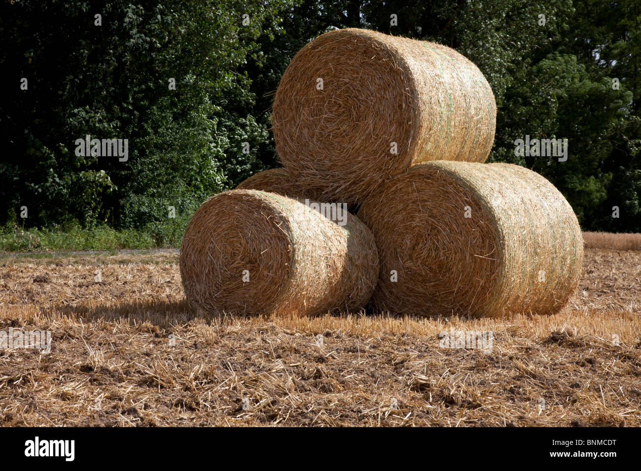 Botte de paille dans un champ Banque D'Images