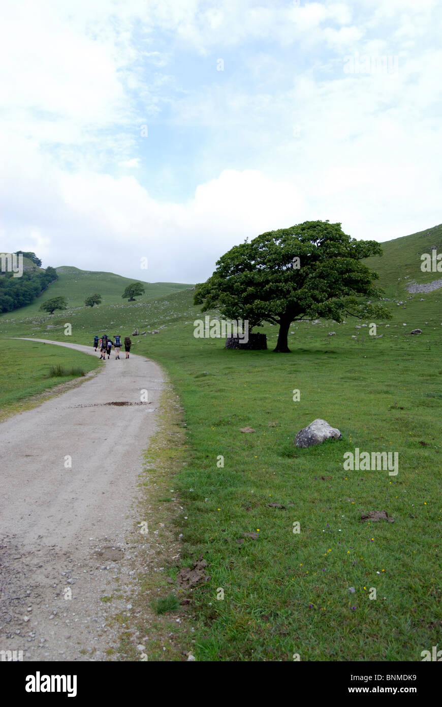 Les randonneurs sur un chemin près de Malham Cove dans le Yorkshire Dales Banque D'Images