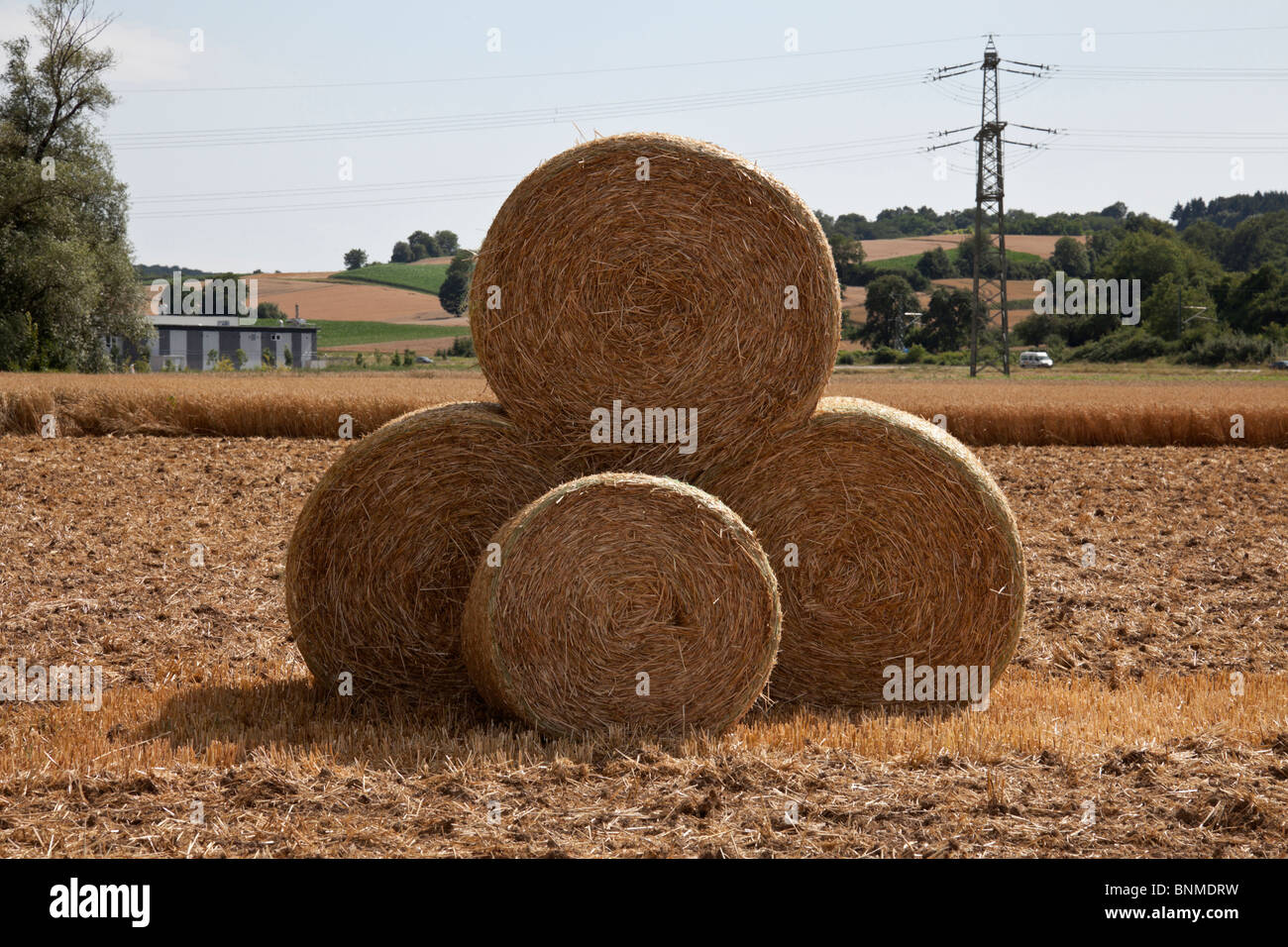 Botte de paille dans un champ Banque D'Images