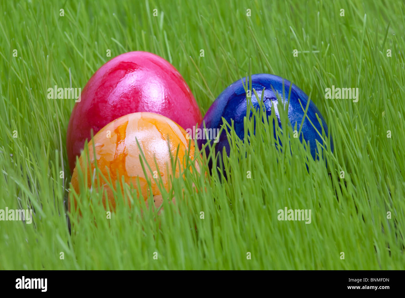 Œuf de Pâques oeuf nourriture bleu jaune rouge couleur vives oeufs de Pâques colorés meadow gazon vert rouge bleu egg Banque D'Images