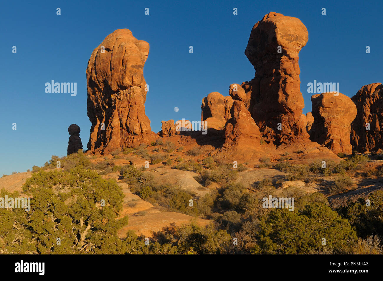 Jardin d'Eden Red Rocks rock formations Nature Paysage Parc National Arches National Park près de Moab Utah USA Amérique du Nord Banque D'Images