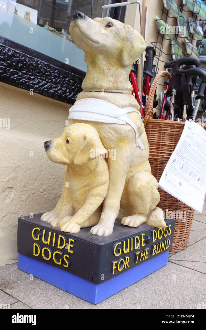 'Chiens' boîte de collecte de charité Banque D'Images