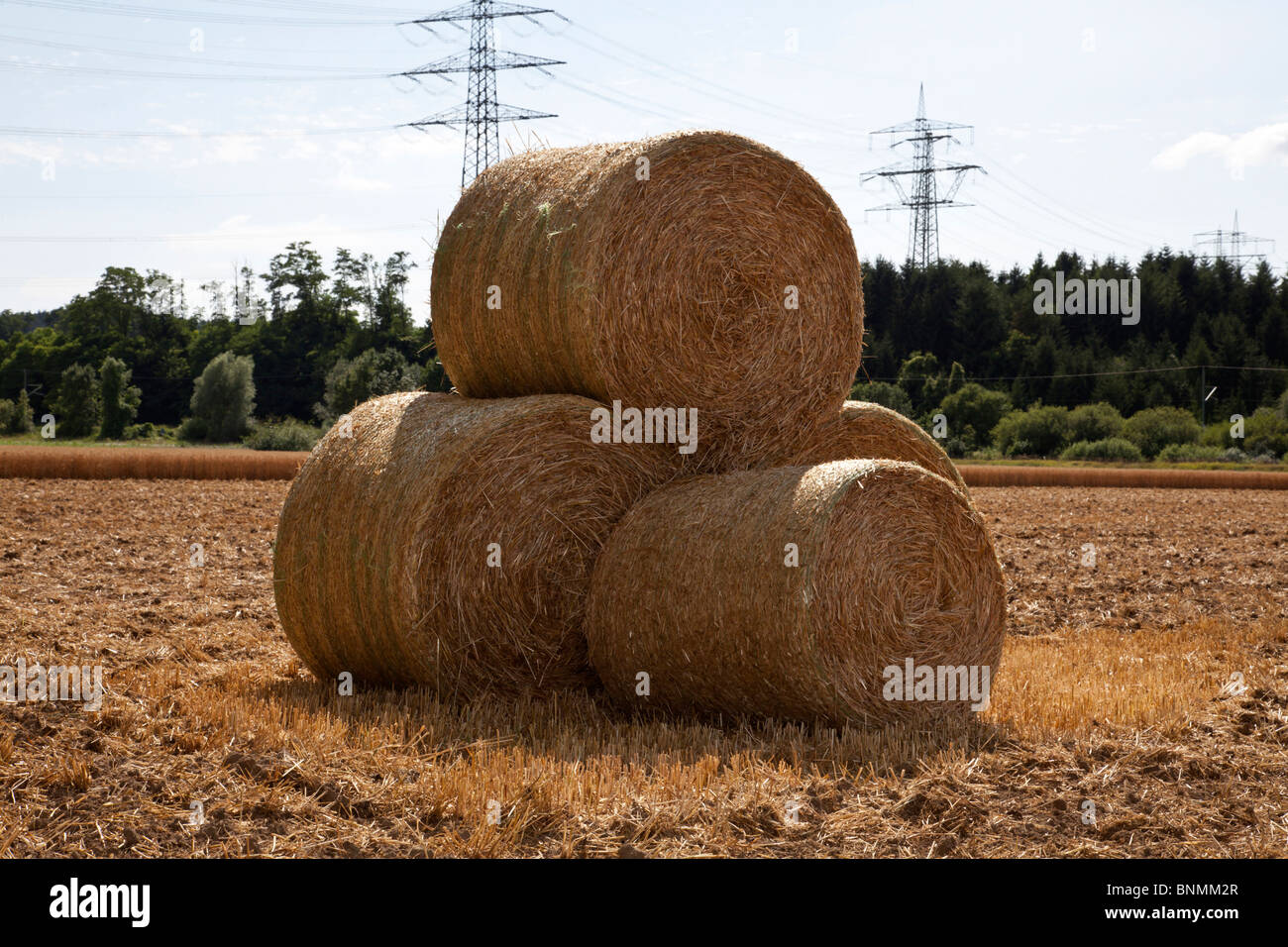 Botte de paille dans un champ Banque D'Images