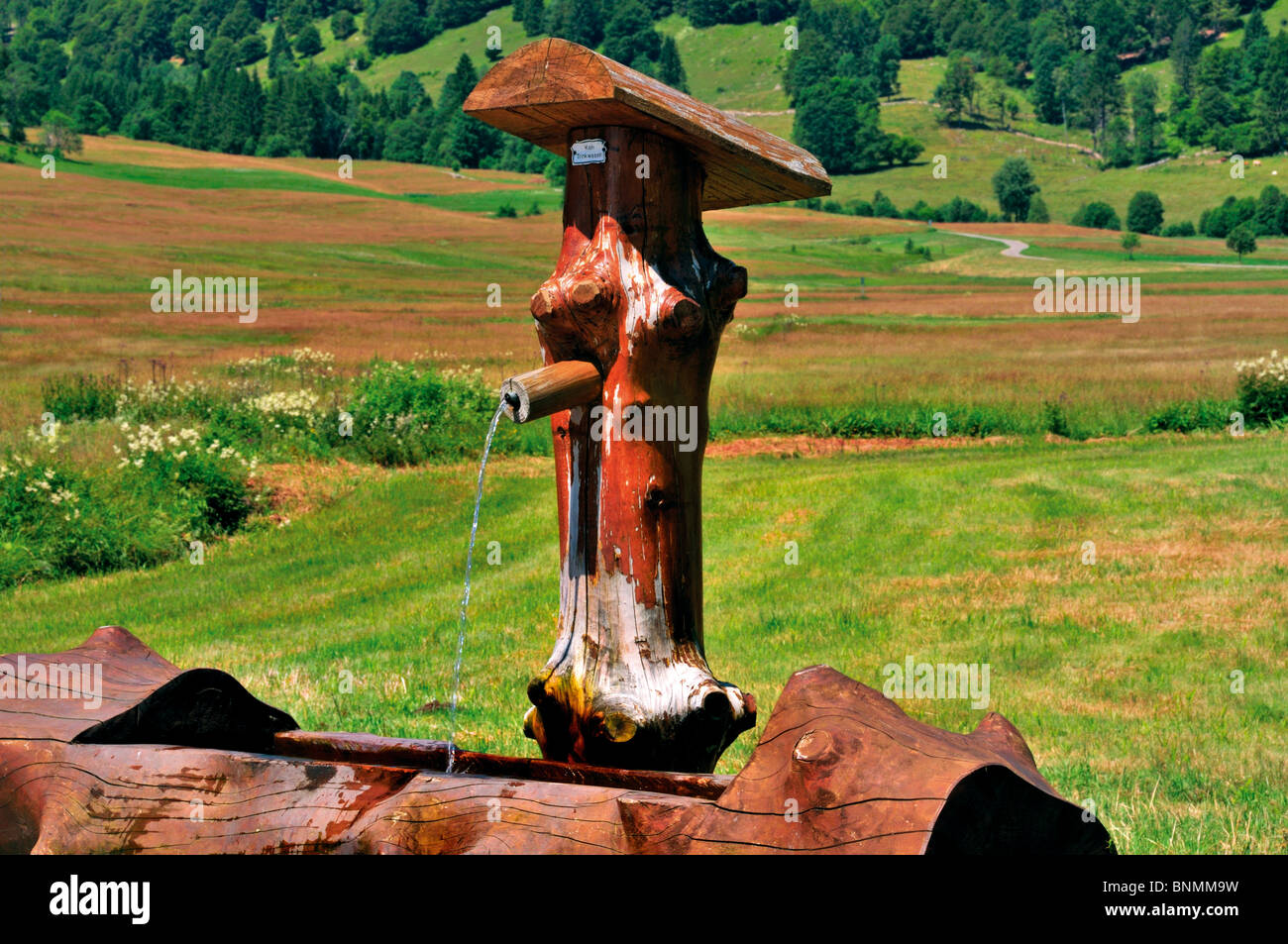 Allemagne, Forêt-Noire : fontaine en bois typique de Müllheim Banque D'Images