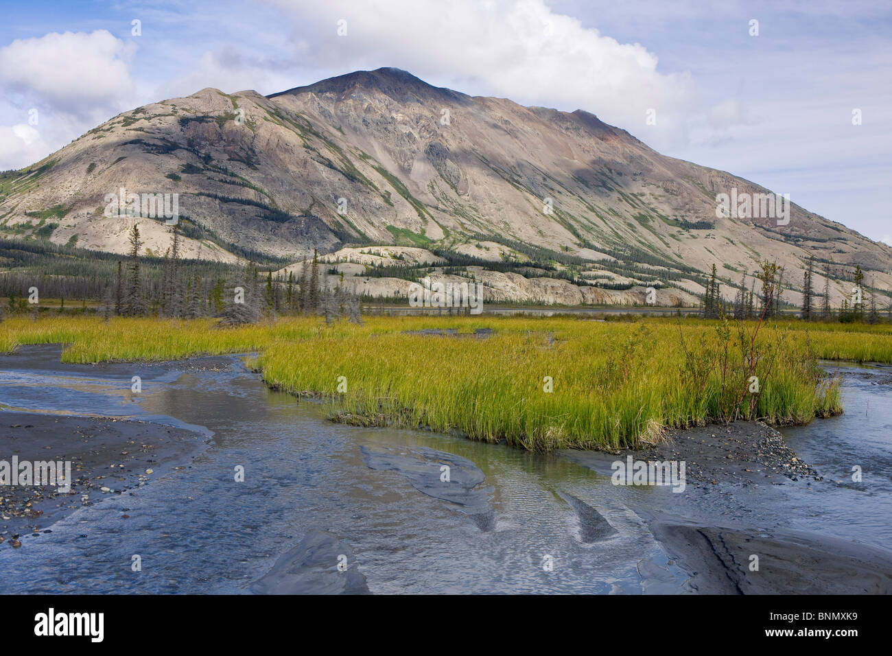 La vallée pittoresque de la rivière Slims et Sheep Mountain, parc national Kluane, Yukon, Canada. Banque D'Images