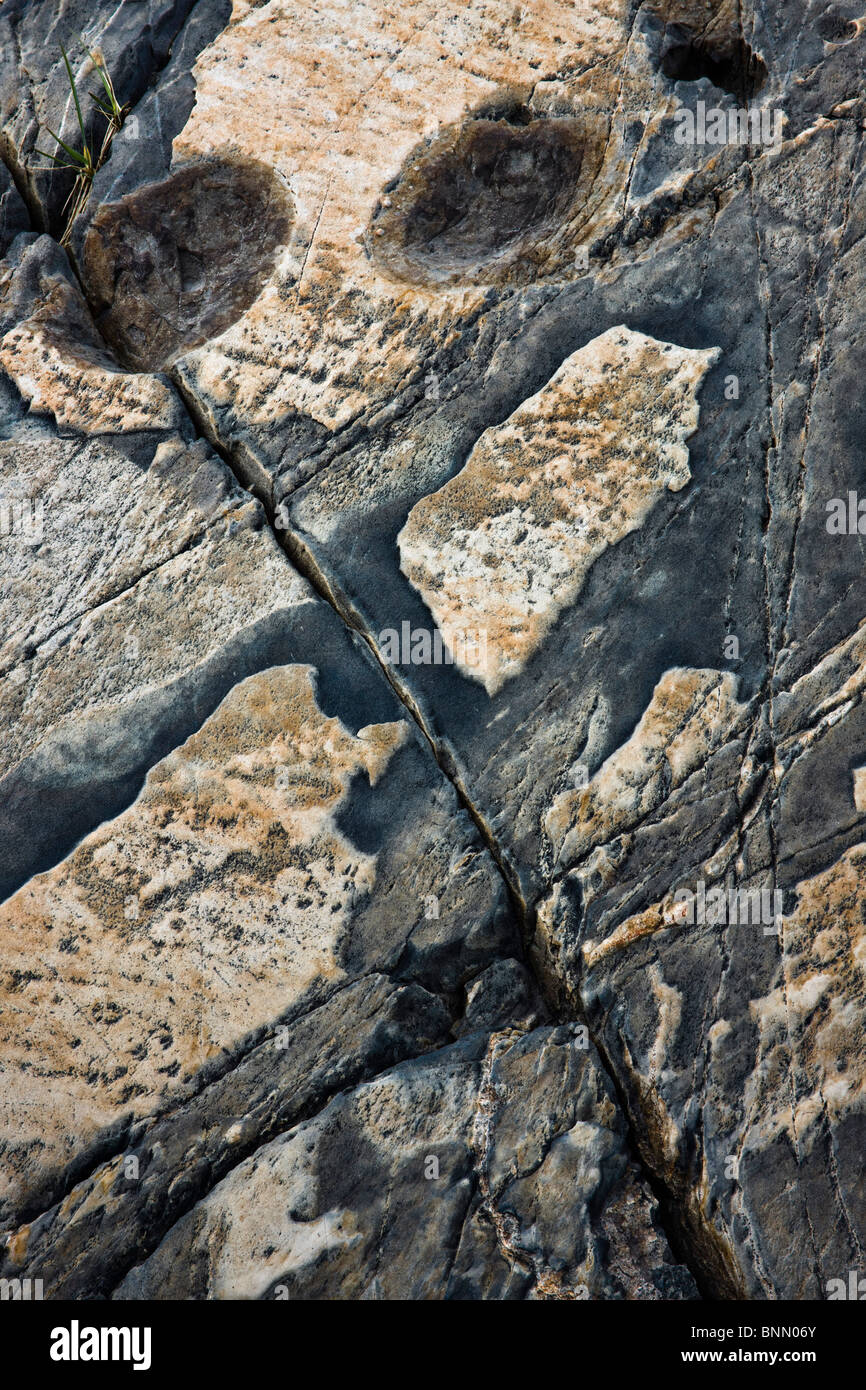 Effarouchement des stries glaciaires et les patrons sur les roches, Alaska Banque D'Images