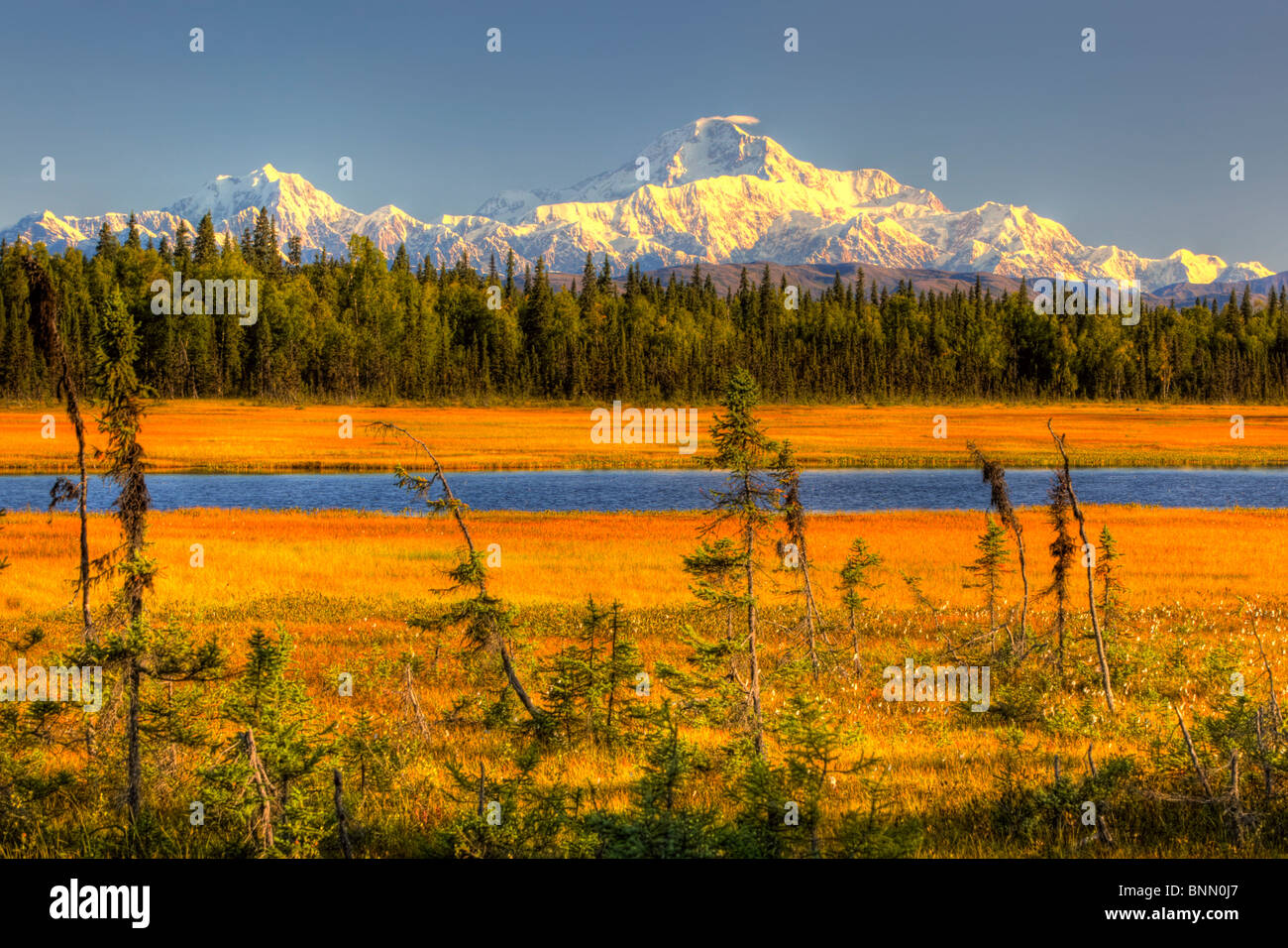Vue panoramique sur Mt. McKinley au coucher du soleil comme vu du sud de la parc national de Denali en Alaska l'été, image HDR Banque D'Images
