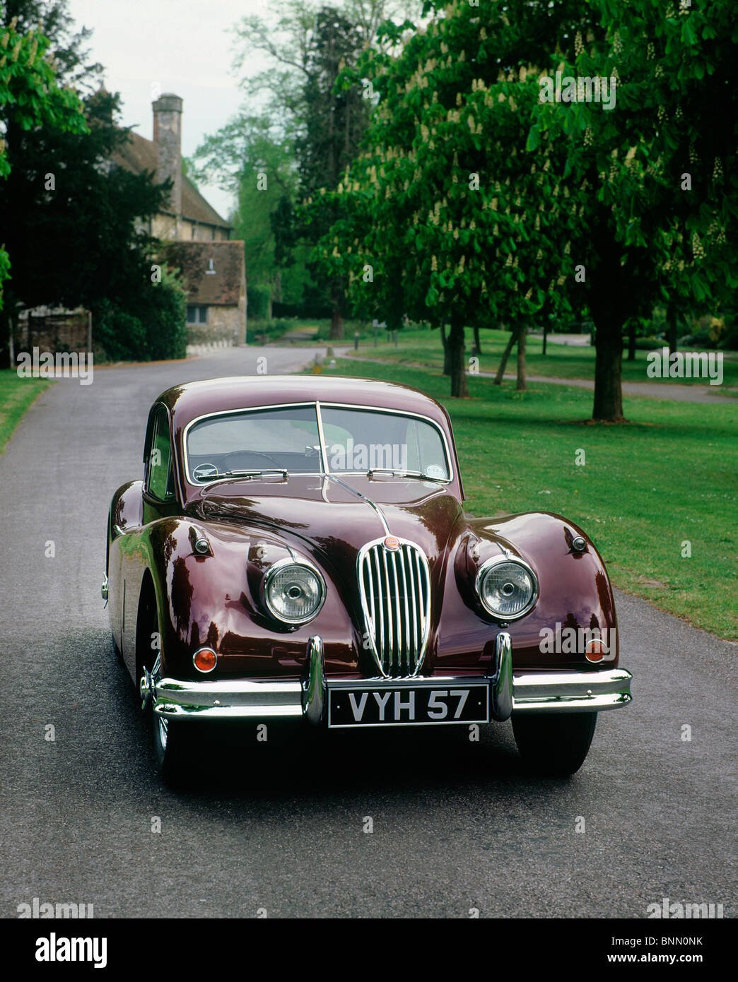 1957 Jaguar XK 140 Banque D'Images