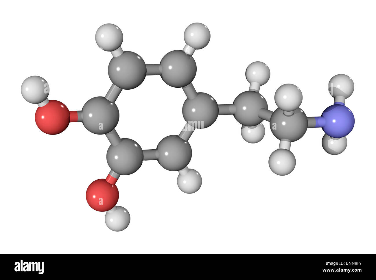 Neurotransmetteur dopamine molécule Banque D'Images