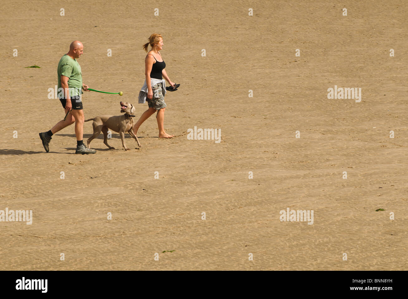 Un couple en train de marcher leur chien sur la plage le Parc Côtier du Millénaire, Burry Port, Carmarthenshire South Wales UK Banque D'Images