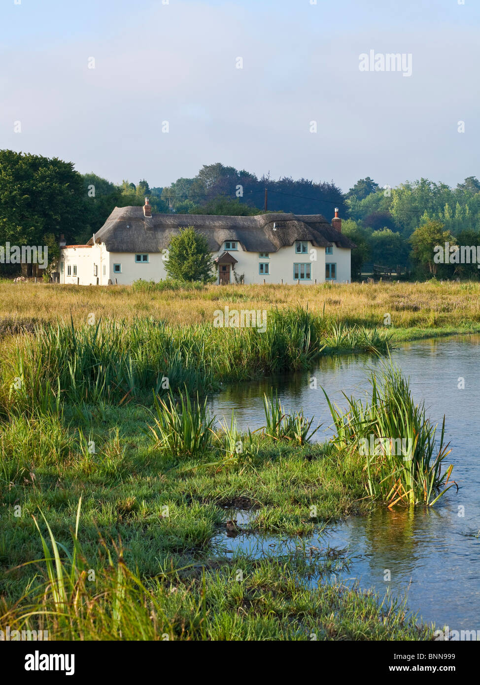 Chaumière de la rivière pittoresque et Test Commun Vache Chilbolton Hampshire UK Banque D'Images