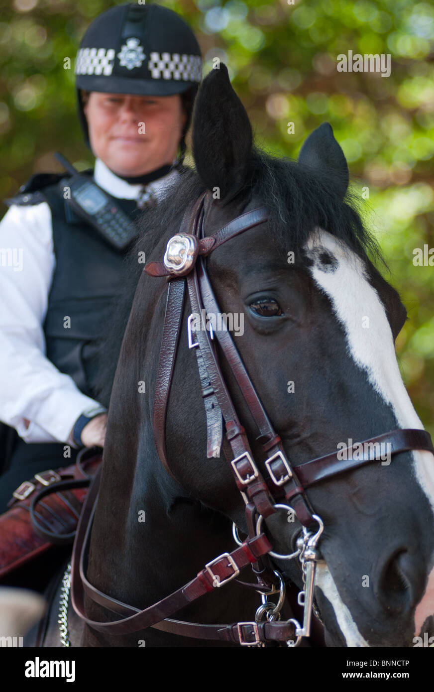 Femme de la Police à cheval, Londres, Angleterre. Banque D'Images