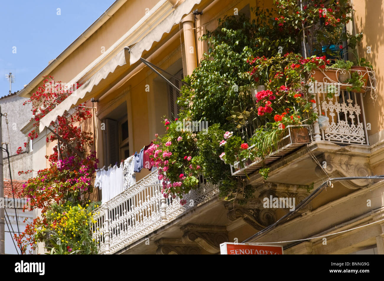 Immeuble de style traditionnel avec balcon plantes en vieille ville de Corfou, sur l'île grecque de Corfou Grèce GR Banque D'Images