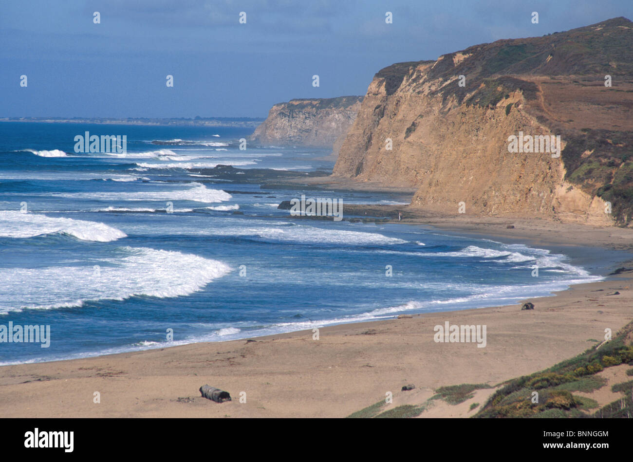 Plage de l'océan Pacifique près de Big Sur, Californie, USA. Banque D'Images