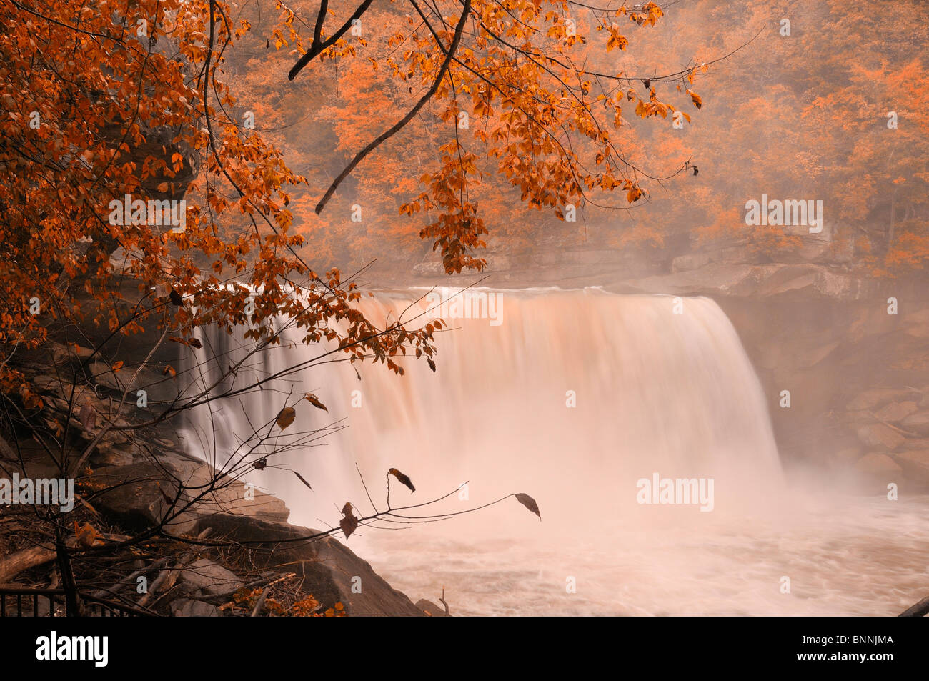 De grosses chutes, Cumberland Falls State Resort Park California USA America United States of America chute d'automne automne Banque D'Images
