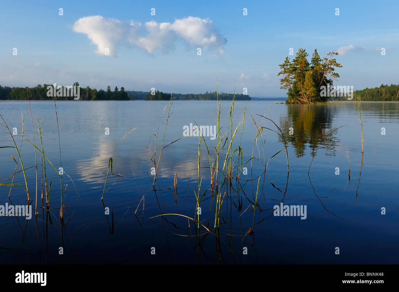 Kayak de Birch Lake Boundary Waters Canoe Area Wilderness au Minnesota, États-Unis d'Amérique États-Unis d'Amérique nature eau Ely Banque D'Images
