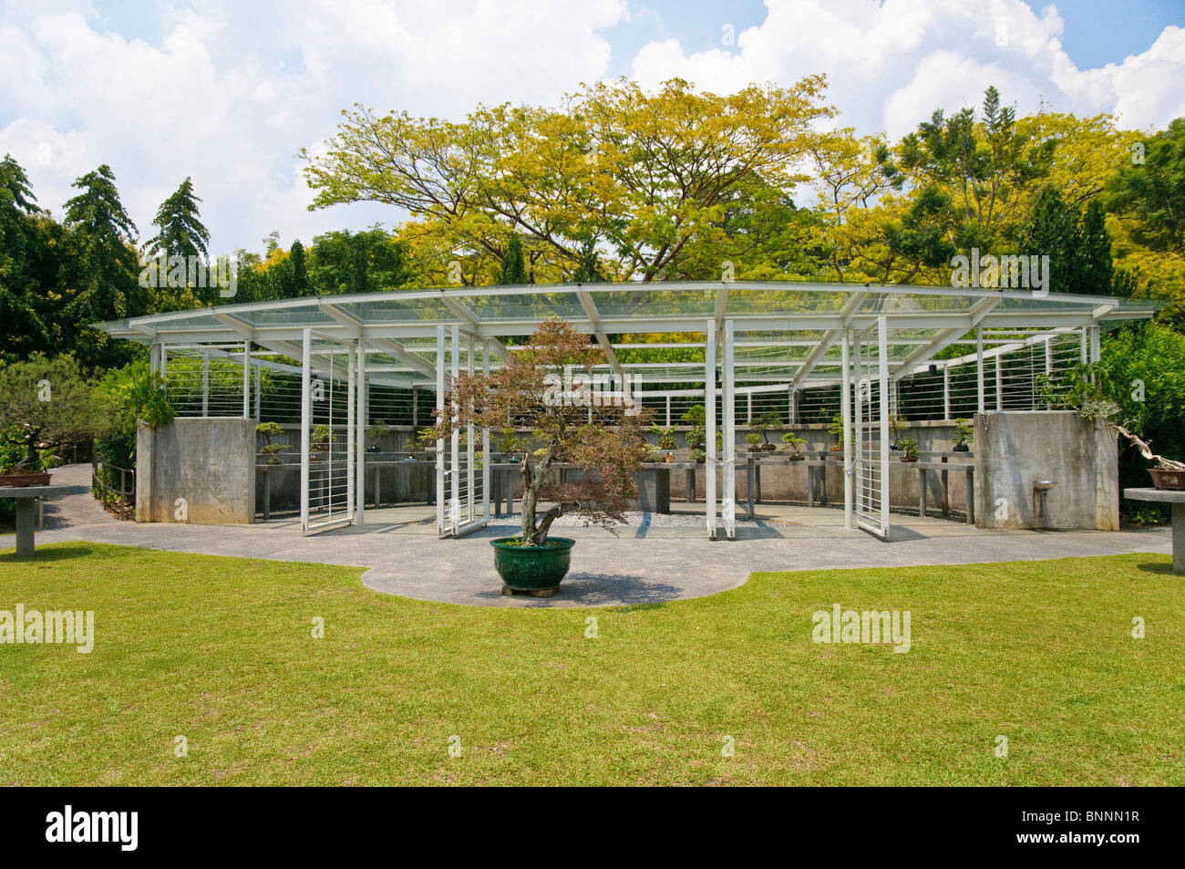 Pièce justificative pièces piscine pots de plantes à fleurs bonsaï botanique petit arbre arbres flore jardin parc parc des expositions Banque D'Images