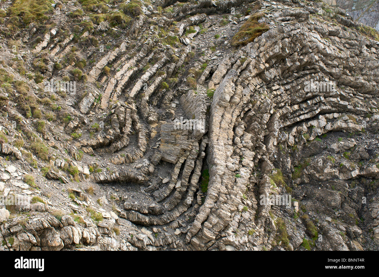 Allemagne Allgäu Allgaeu plis pliage des couches de roche Rdb haut Allgäu Kleinwalsertal Vorarlberg Autriche Banque D'Images