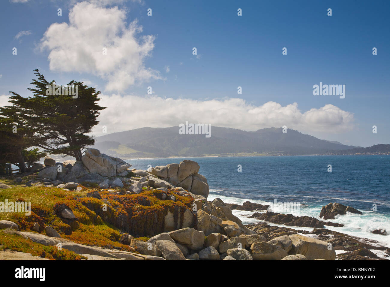 Robuste rocheuses côte de l'océan Pacifique le 17-Mile Drive, à Pebble Beach sur la péninsule de Monterey en Californie Banque D'Images