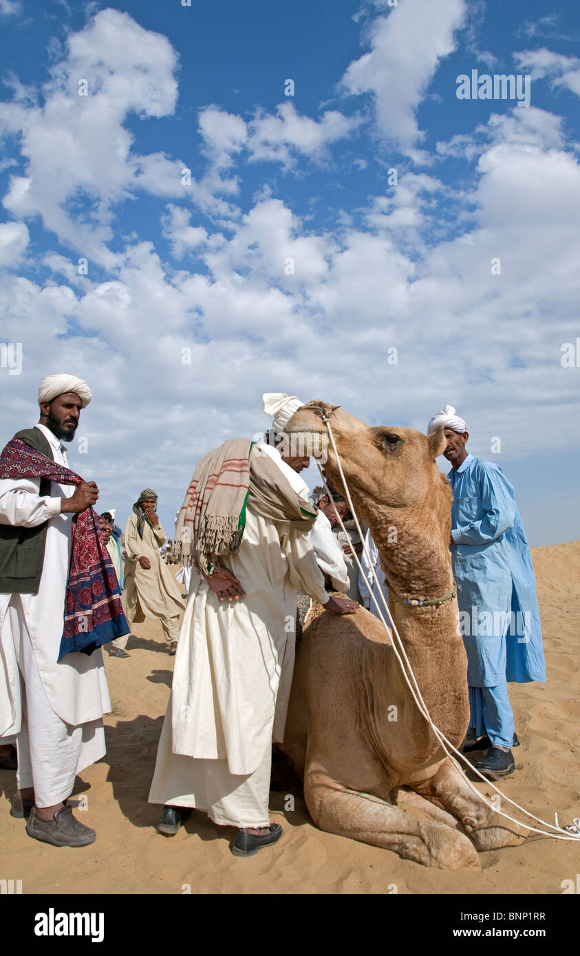 Peuple nomade. Désert du Thar. Le Rajasthan. L'Inde Banque D'Images