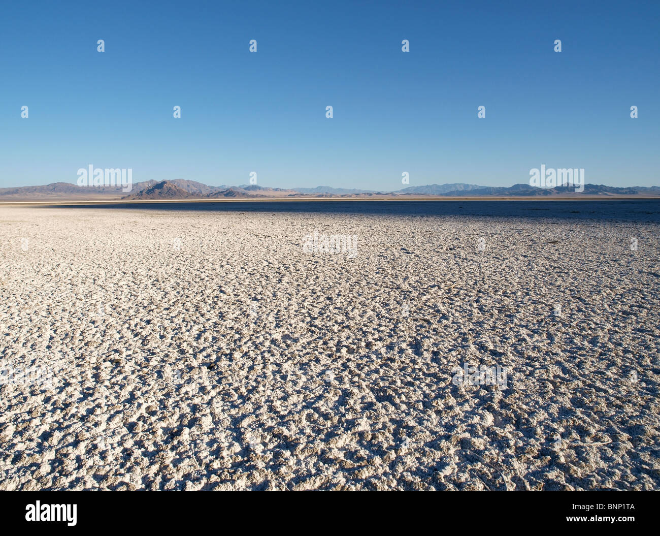 Le lac salé à sec du désert de Mojave en croûte. Banque D'Images