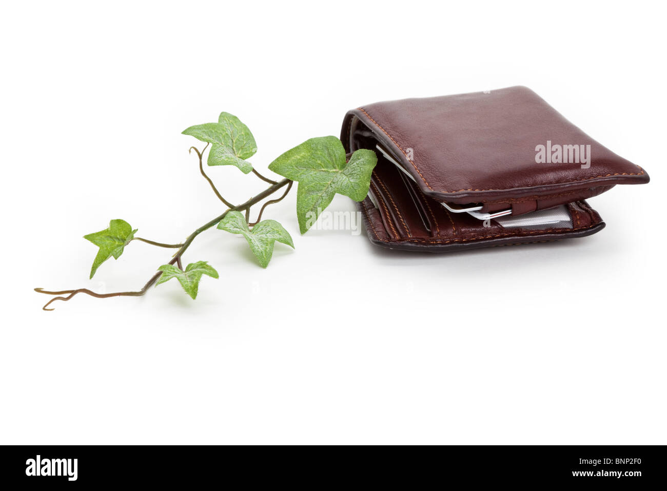 Portefeuille et plante, concept de récession Banque D'Images