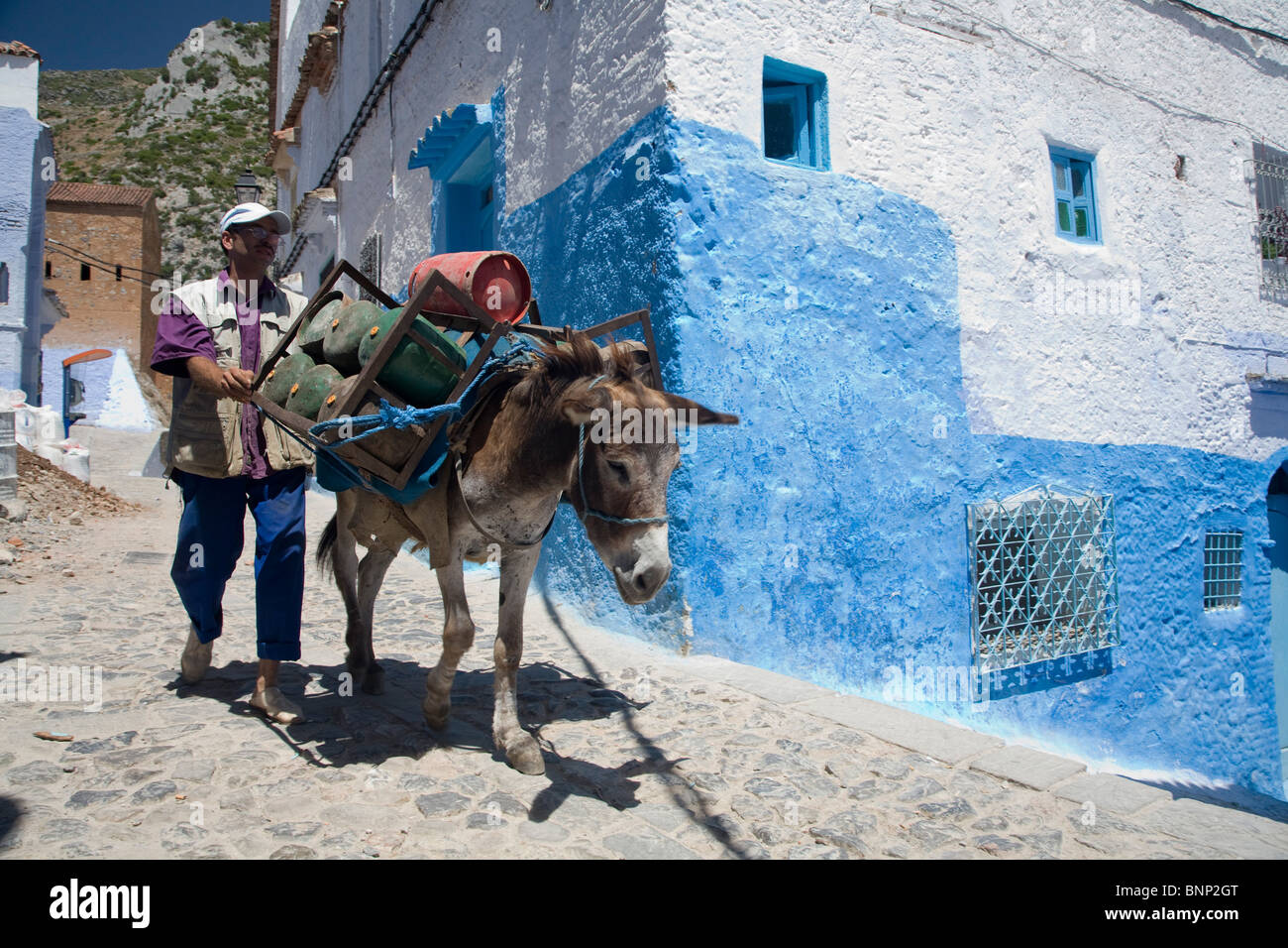 La prestation avec un âne, Chefchaouen, Maroc Banque D'Images