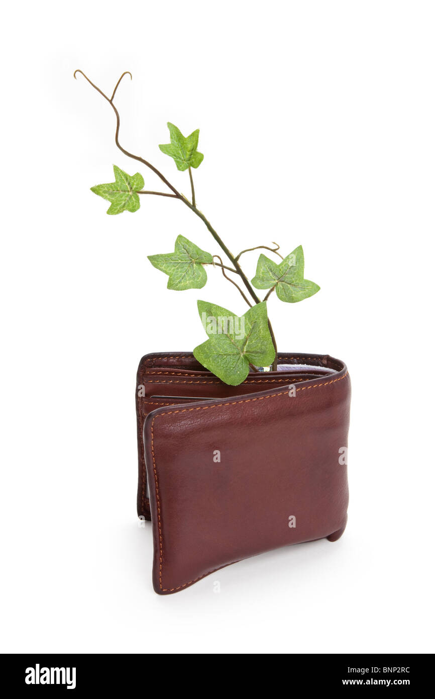 Portefeuille et plante, concept de récession Banque D'Images
