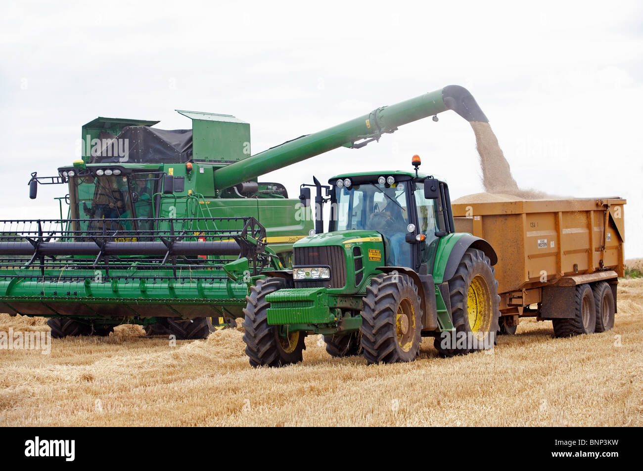 La récolte de céréales, de Bawdsey, Suffolk, Angleterre. Banque D'Images