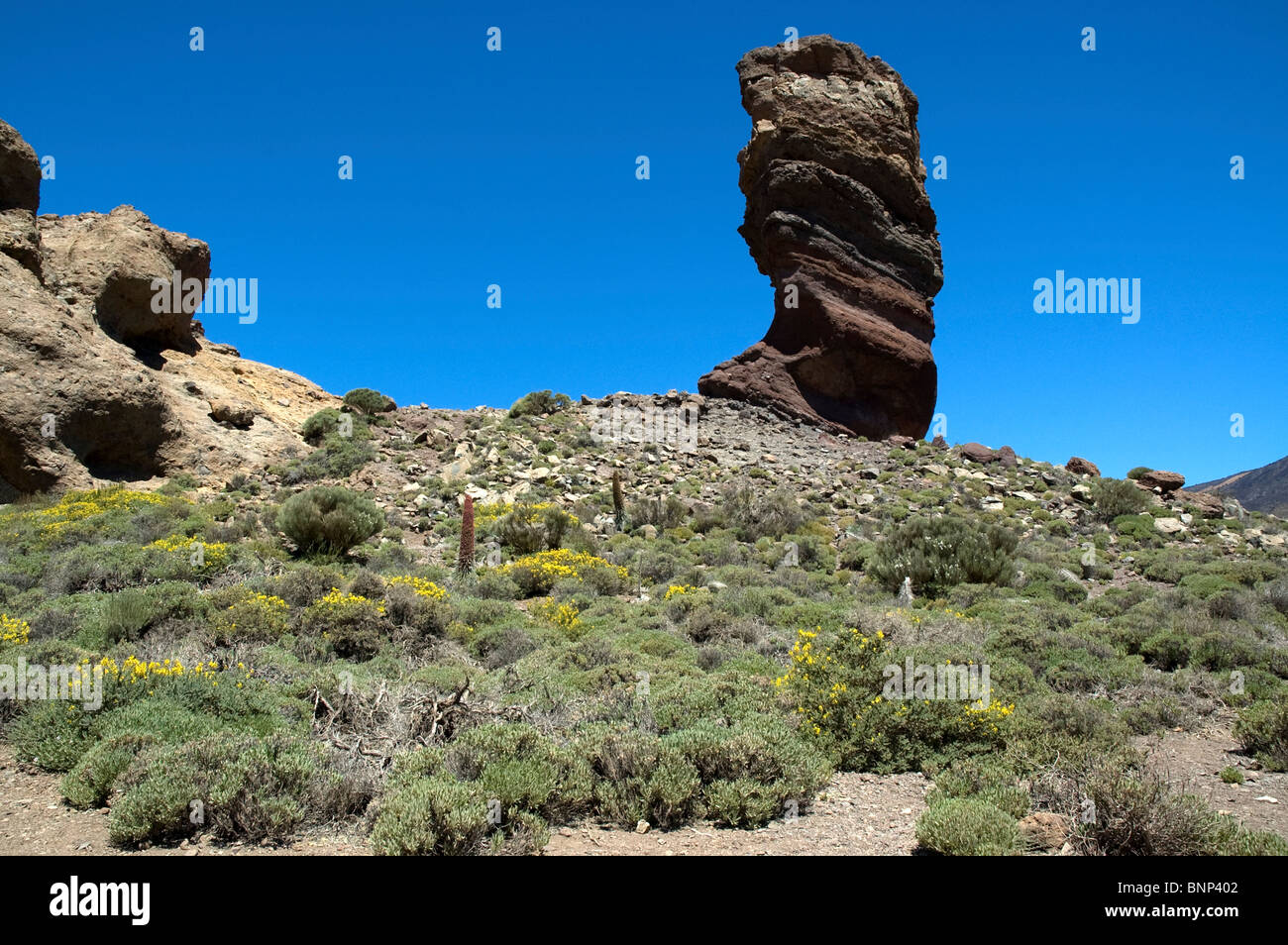 Pilier de roche. Le Mont Teide tenerife Banque D'Images