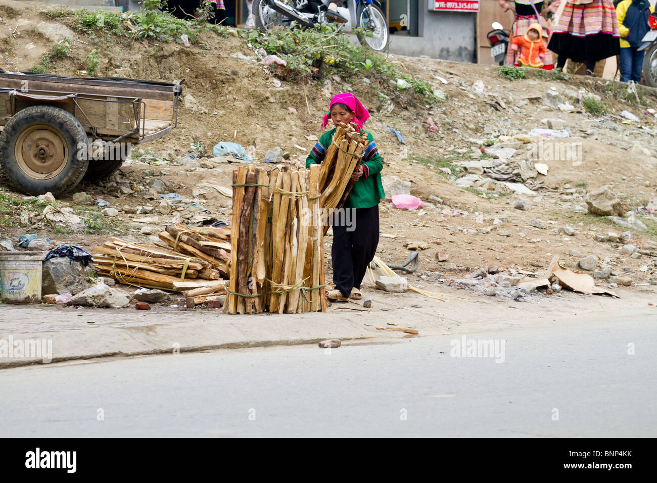 Femme de la minorité la vente de bois de chauffage au marché du dimanche de Bac Ha, Vietnam Banque D'Images