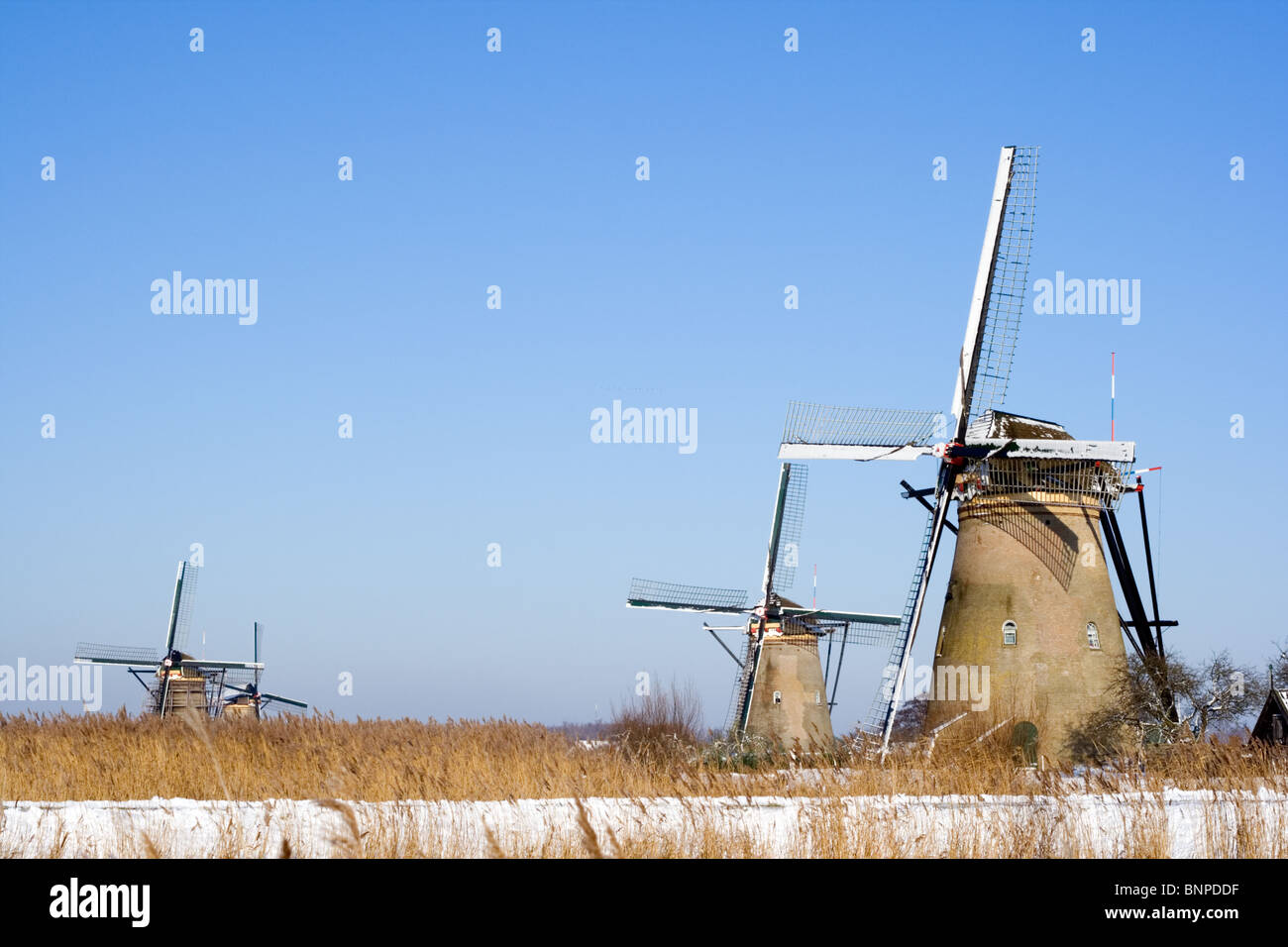 Touristiques néerlandais site du moulin de Kinderdijk. Zuid-Holland, Pays-Bas Banque D'Images