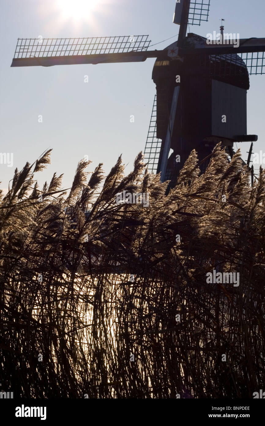 Touristiques néerlandais site du moulin de Kinderdijk. Zuid-Holland, Pays-Bas Banque D'Images