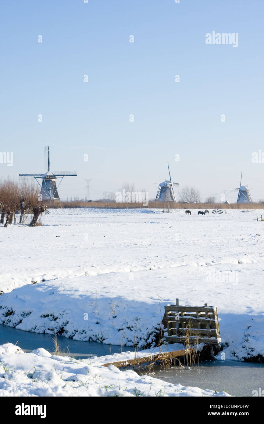 Moulin à vent de Kinderdijk en Hollande pendant l'hiver Banque D'Images