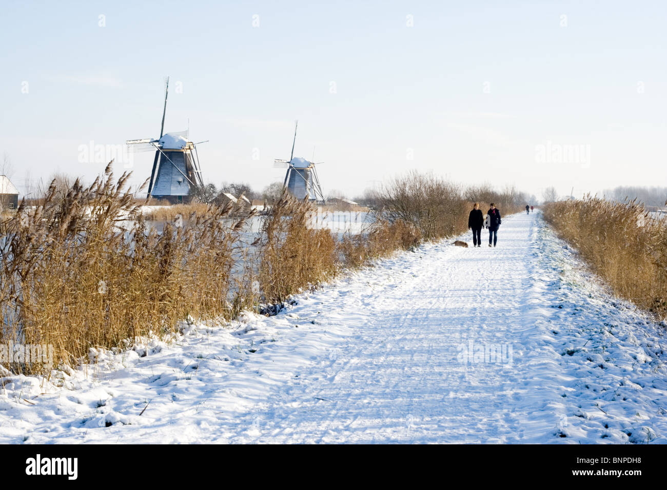 Touristiques néerlandais site du moulin de Kinderdijk. Zuid-Holland, Pays-Bas Banque D'Images